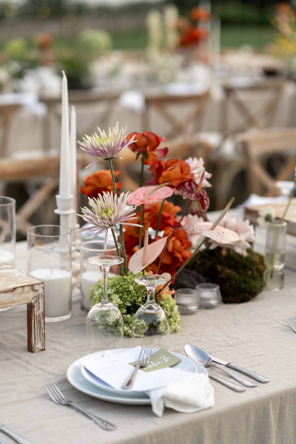 The Wedding of Shanae & Tom